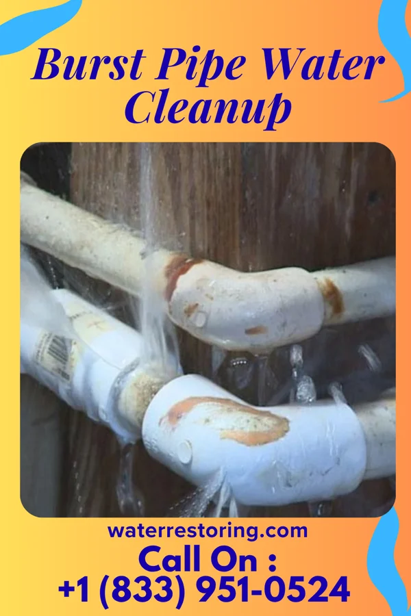 Burst Pipe Water Cleanup in Potomac Mills, VA