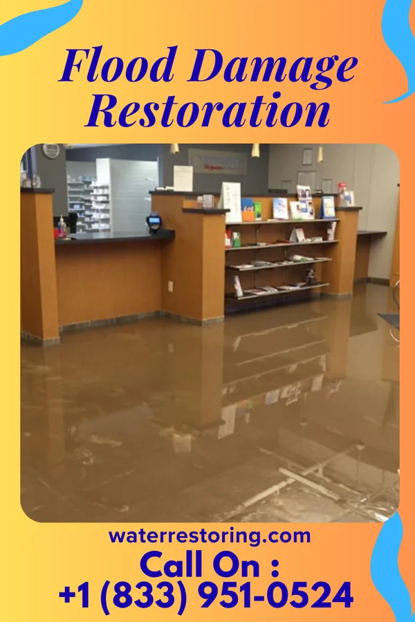Flood Damage Restoration in Potomac Mills, VA