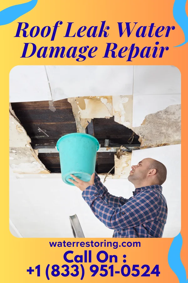 Roof Leak Water Damage Repair in Potomac Mills, VA