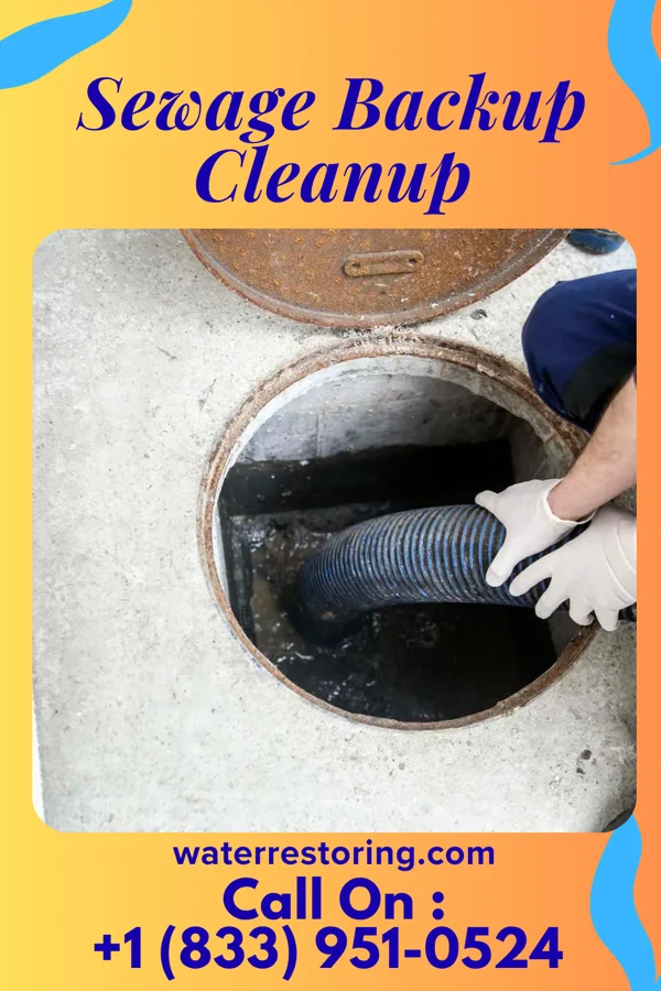 Sewage Backup Cleanup in Potomac Mills, VA